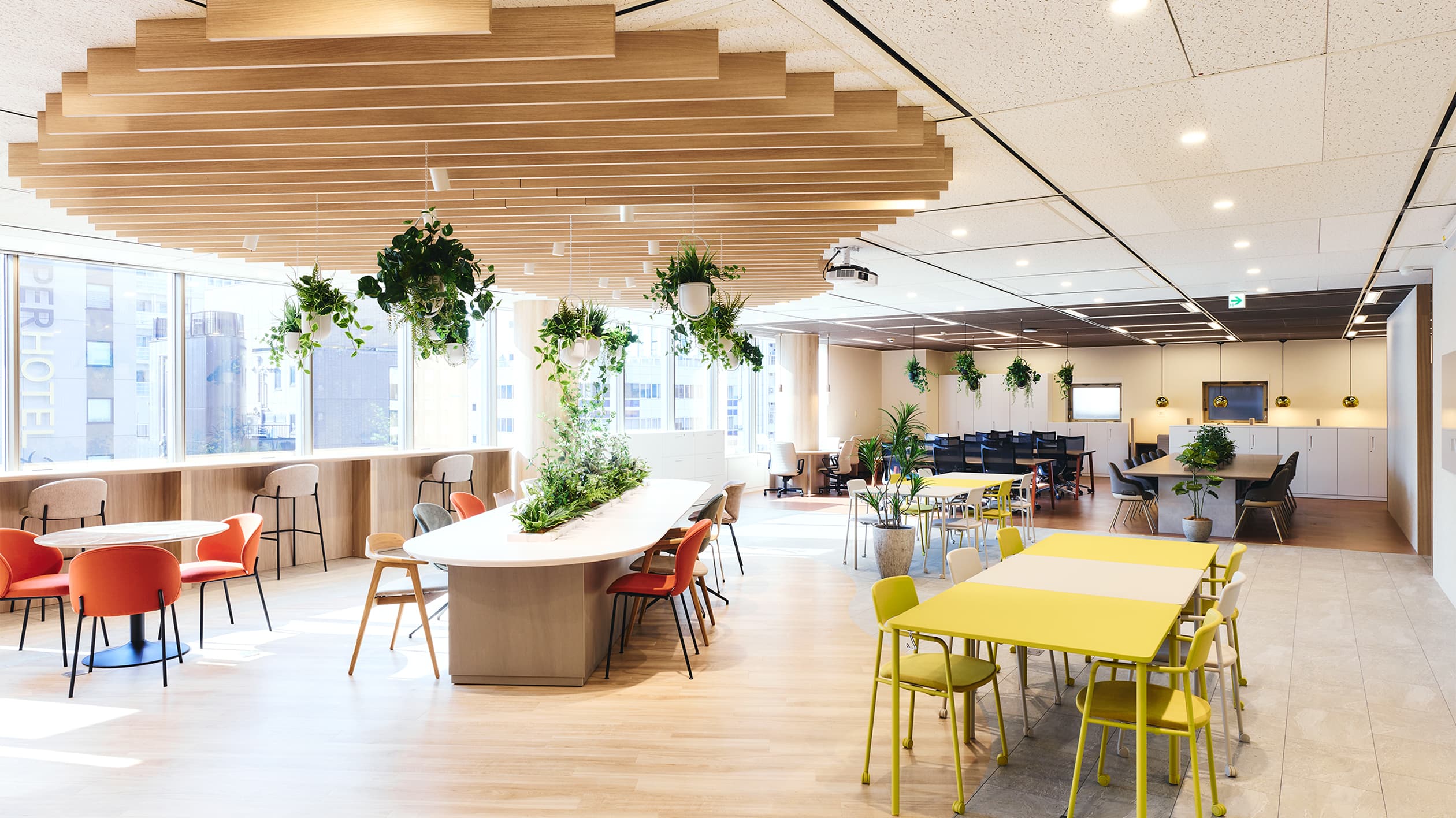 OFFICE 01
